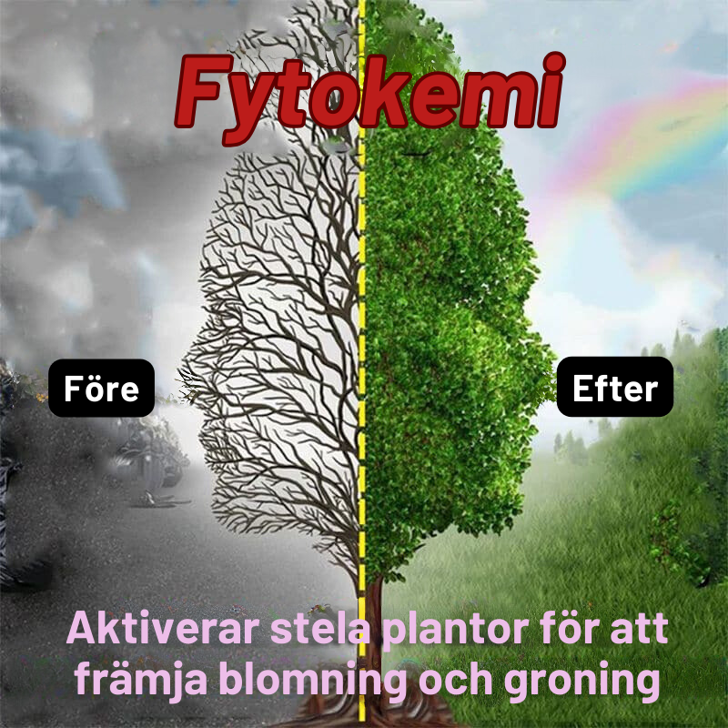 EcoBloom™: Flytende løsning for aktivering av planter og blomster