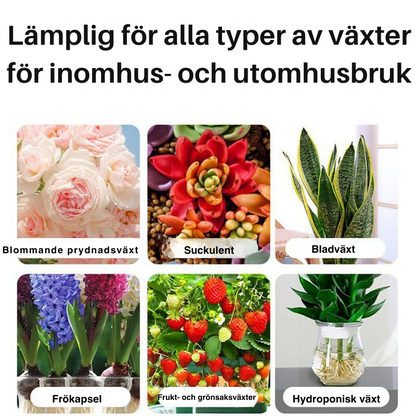 EcoBloom™: Flytende løsning for aktivering av planter og blomster